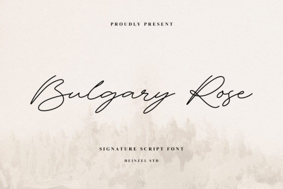 Bulgary Rose: A Premium Script Font Review