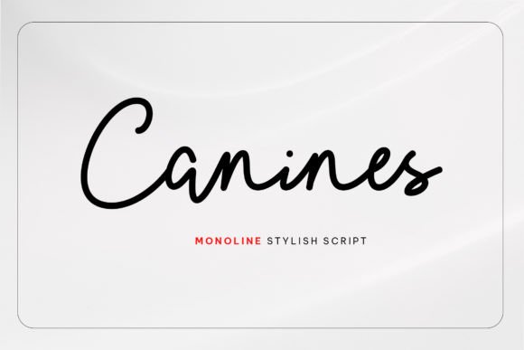 Discovering Canines: A Stylish Script Font for Editorial Design